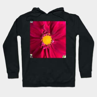 The Exhuberant Red Dahlia Hoodie